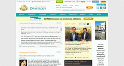Desktop Screenshot of opalesquesolutions.com